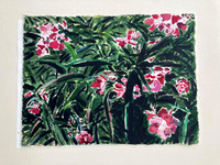 Vibrant- (Oleander) 11" x 15"-watercolor-$400