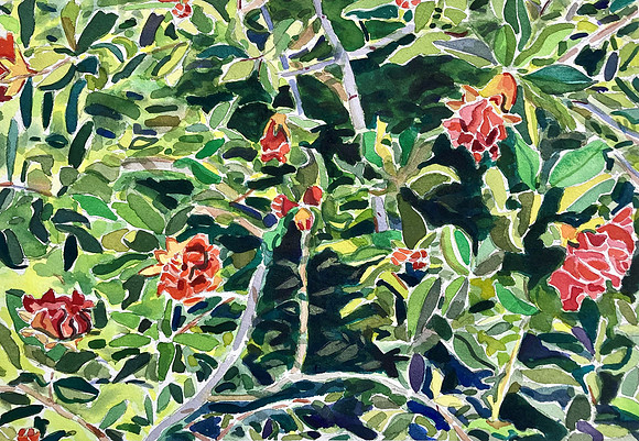 Pomegrantite Blooms-11" x 15"- watercolor -$400