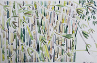 Brisk Bamboo-9.5" x 15"- watercolor -$300