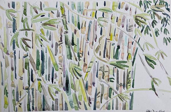 Brisk Bamboo-9.5" x 15"- watercolor -$300