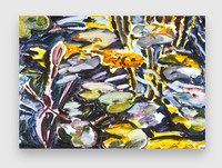 DarkPond