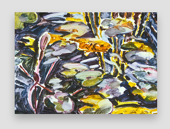 DarkPond