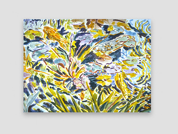 Pond Study