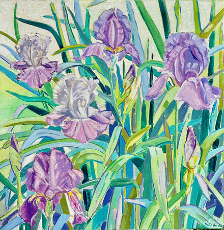 Iris Spring, 30" x 30" oil, $1500