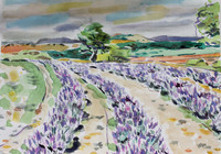 Landscapes